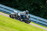 PJ-Motorsport-Photography-2020;anglesey;brands-hatch;cadwell-park;croft;donington-park;enduro-digital-images;event-digital-images;eventdigitalimages;mallory;no-limits;oulton-park;peter-wileman-photography;racing-digital-images;silverstone;snetterton;trackday-digital-images;trackday-photos;vmcc-banbury-run;welsh-2-day-enduro